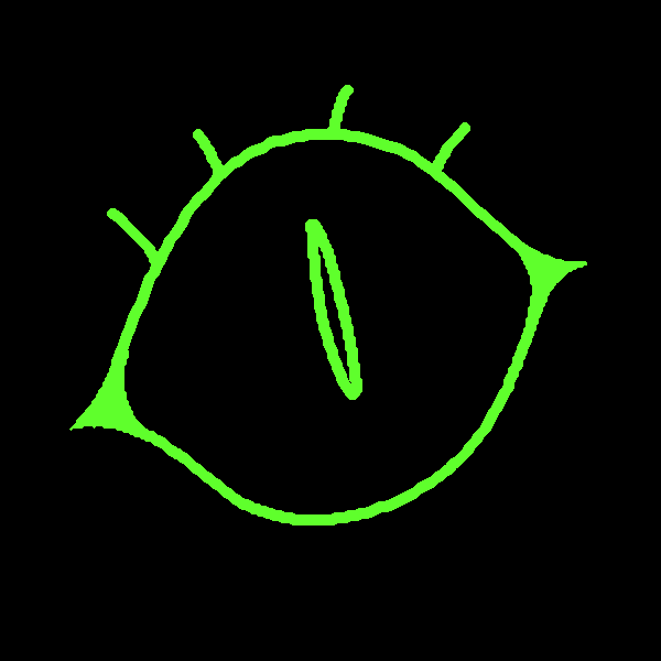 Basil
